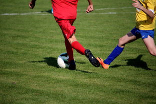 开云官方网站-“拳王争霸：四川省体育馆拳击赛将诞生新的世界拳王”