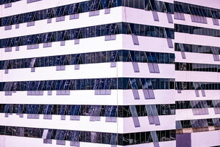 开云平台-体育新闻中心建设体育数字内容版权保护体系，体育数据新闻